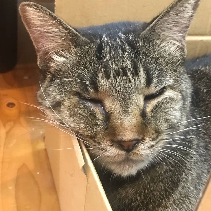 B18cfcbb 357f 4e09 9709 c4f86bfdad2e 1629508954707