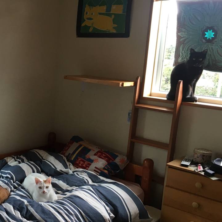 B18d0251 5a68 4876 a94a 9df2c88a7b76 1553167966496