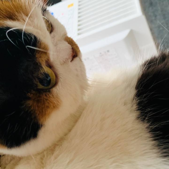 B18d111b 2fad 48c5 919d 3d72c06494cd 1572046548179