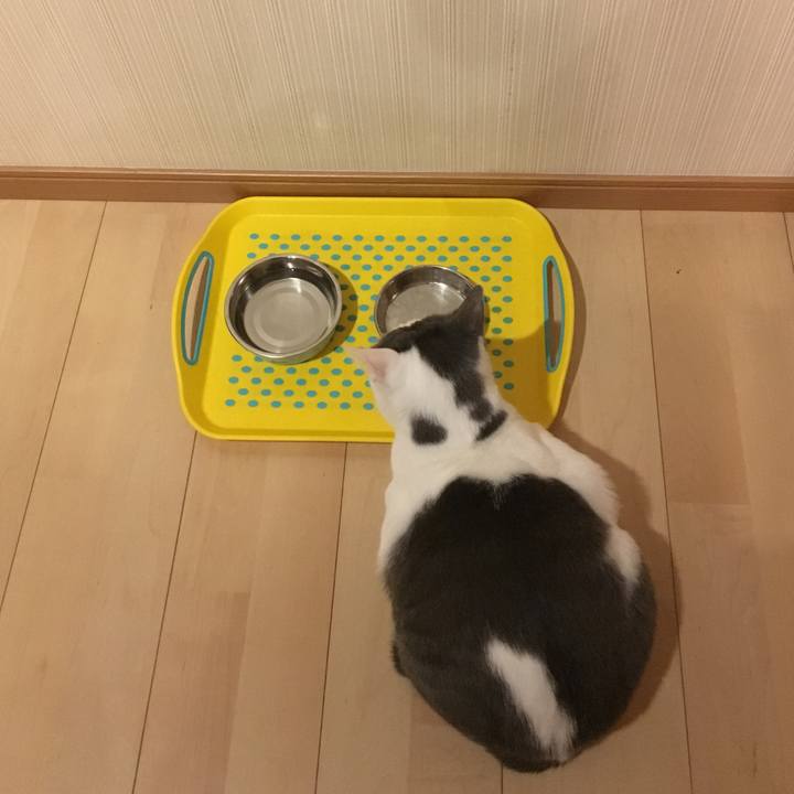 B18d1637 7c66 4ca6 b754 07d98fc93149 1510402922449