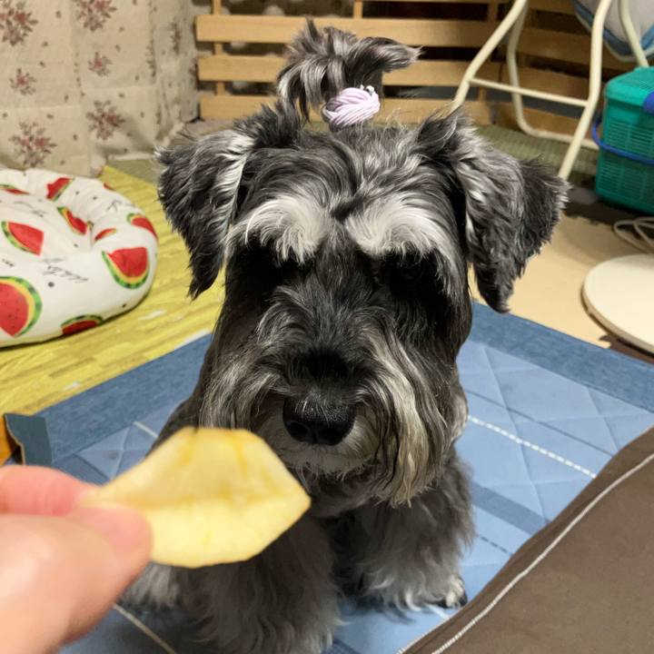 B18d9788 04fb 4978 9328 7b8dd2921b94 1726311075007