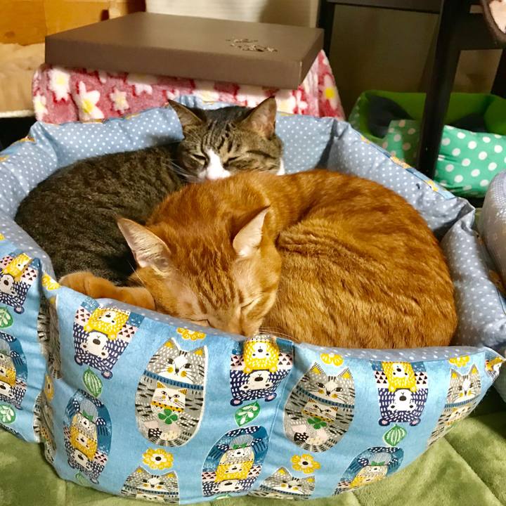 B18dbe4f 1f55 4676 bb55 c2dcdc07b710 1510221878755