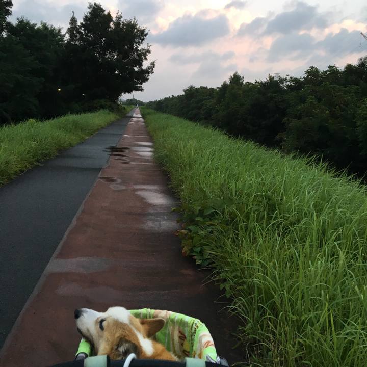 B18dc423 024d 494a b11a 890dd394e06c 1565817372367