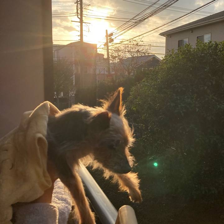 B18dcea7 5101 46ff b07e 20e2e9d27ab6 1699569831386