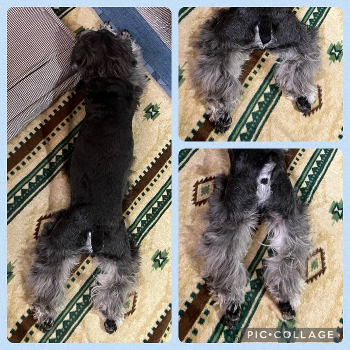 B18df6f8 8cbb 4638 8e96 8df46af28cc1 1715416260368