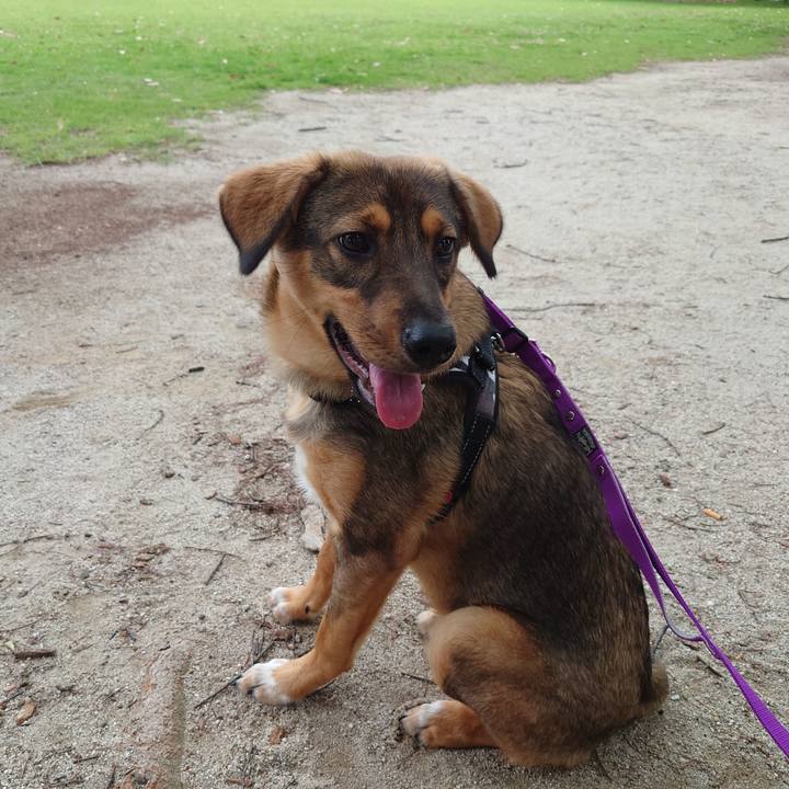 B18e1484 4da2 41c0 ba94 5e424bc16384 1687749904979