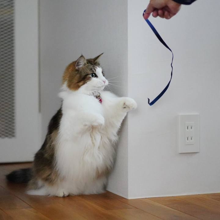 B18e2cd3 5bee 4925 a46b 4c9b594112f8 1699668615916