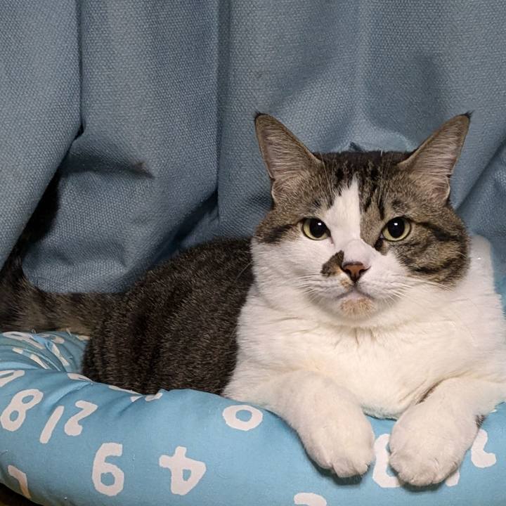 B18e4dc3 fa99 4e79 bb64 0feccce0e415 1733698655109