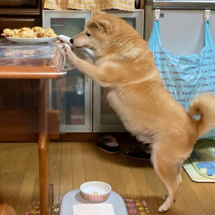 B18e5f9f daef 4a30 bd8d e6ed4dc5b660 1633522367385