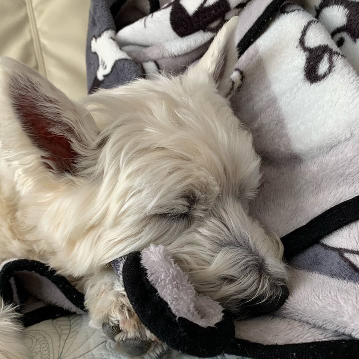 B18ed58d 602d 480d aab4 8415412ba15d 1620787523305