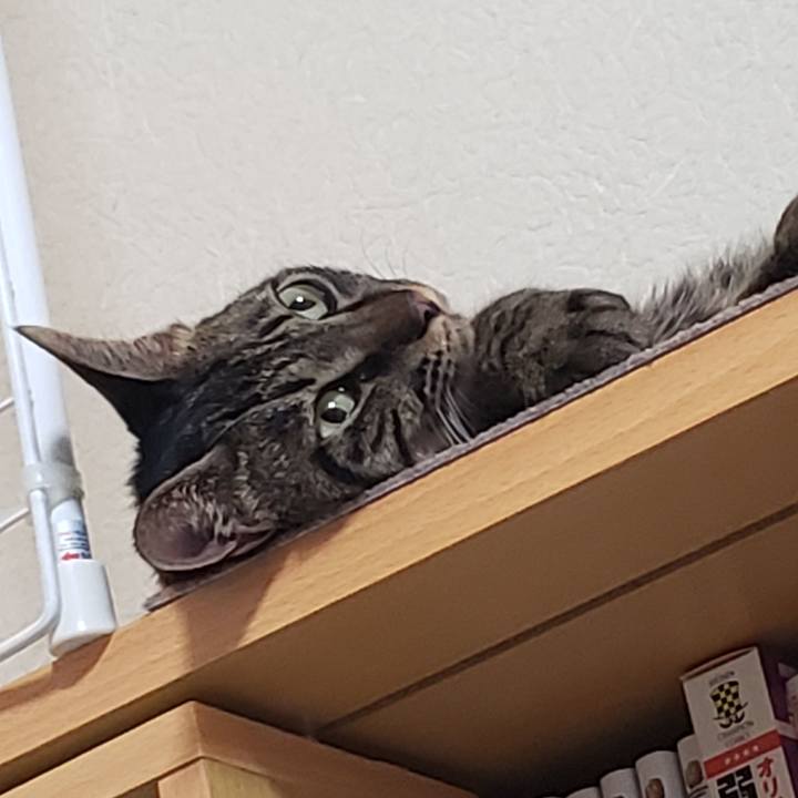 B18efcdd ea6e 45ad ad8c 51c9d219a613 1566397358296