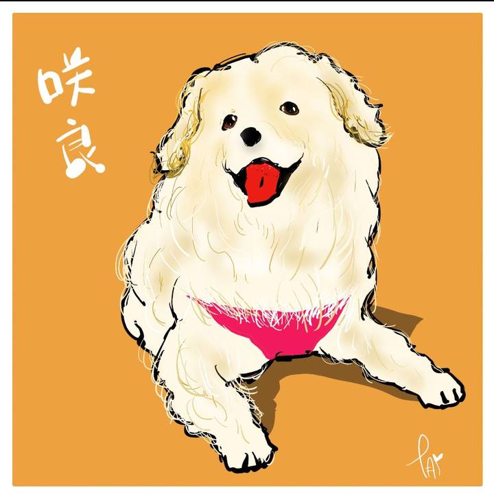 B18f50ef f19d 4426 ab7e 75ab26bc5bb8 1640602326215