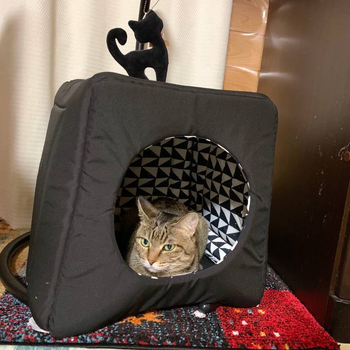 B18f6b27 b0e6 4dcd 92cb bf508aa39a6d 1589795345948