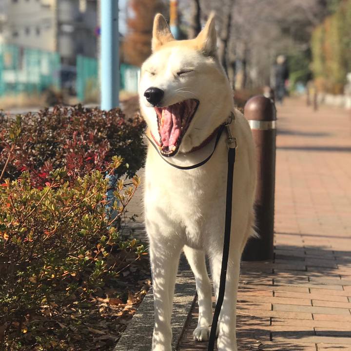 B18f75d5 1a5e 4533 af04 91cbe36e53c7 1545270168445