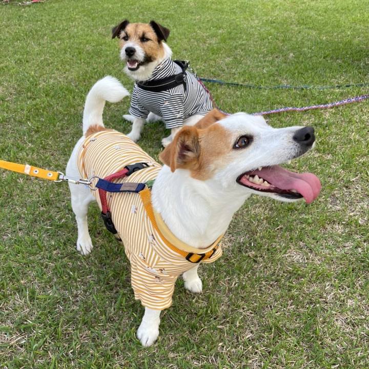 B18f76b6 2142 4612 aabc fcddacb9cd05 1649845300268