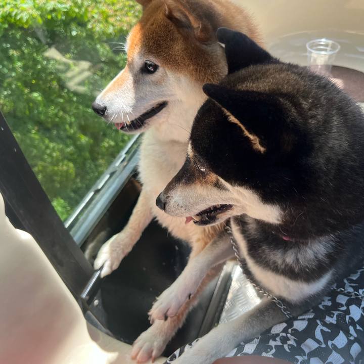 B18f899d d972 49e0 9cf0 9353d27f35ea 1659265367718