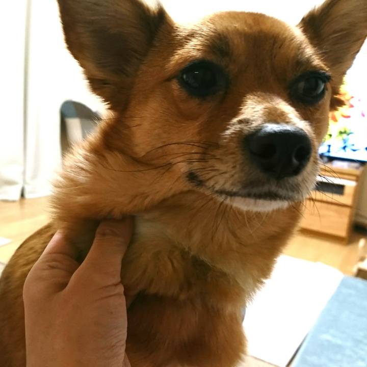 B18fa197 e49d 40f7 a72f 1d8e322ba298 1514802593160