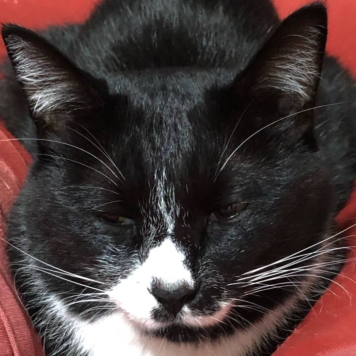 B18fb235 4aff 49ec 9b59 c8e4db76b82a 1636267196352