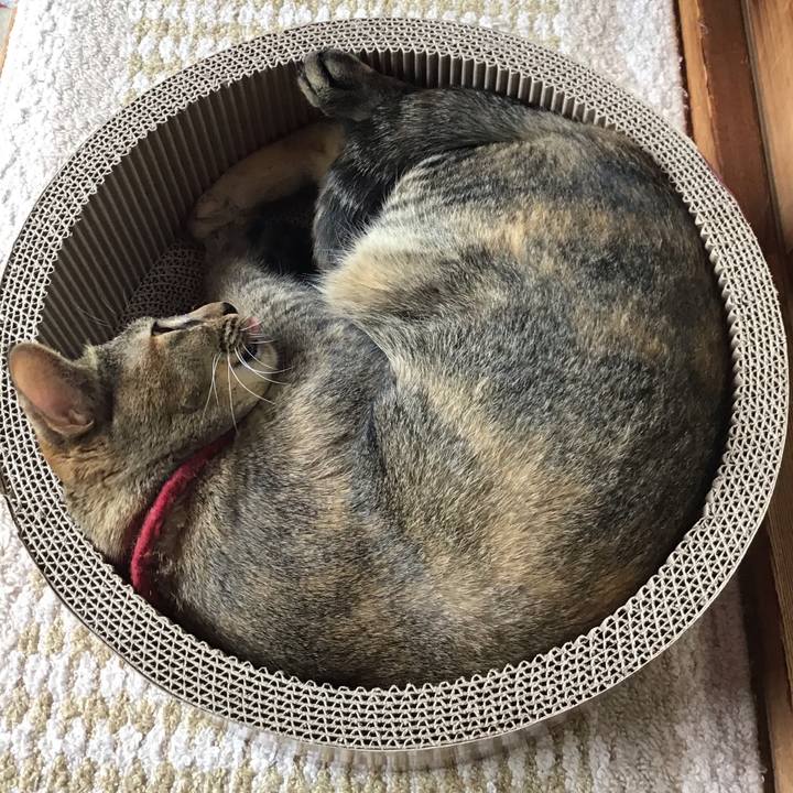 B18fc714 e156 4146 86a4 1606ea9520e3 1599368830725