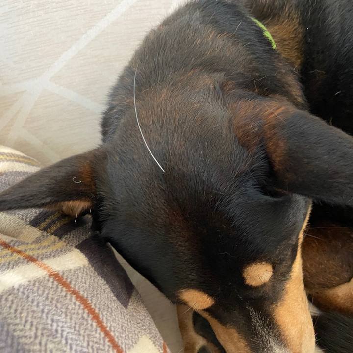 B18fdd3e 6846 4816 bbc0 ea2ad206c2ac 1671935720639