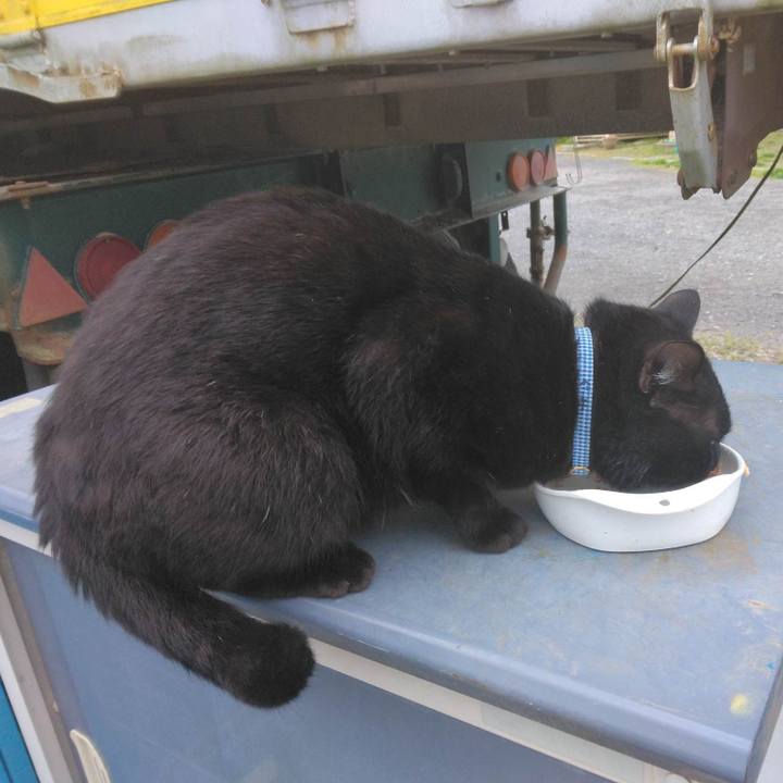 B1902984 99b4 4663 81ec f3547e1c32c3 1680947405171