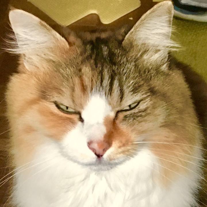 B1904798 2e76 40fc be44 bef1a0ab1013 1558476105550