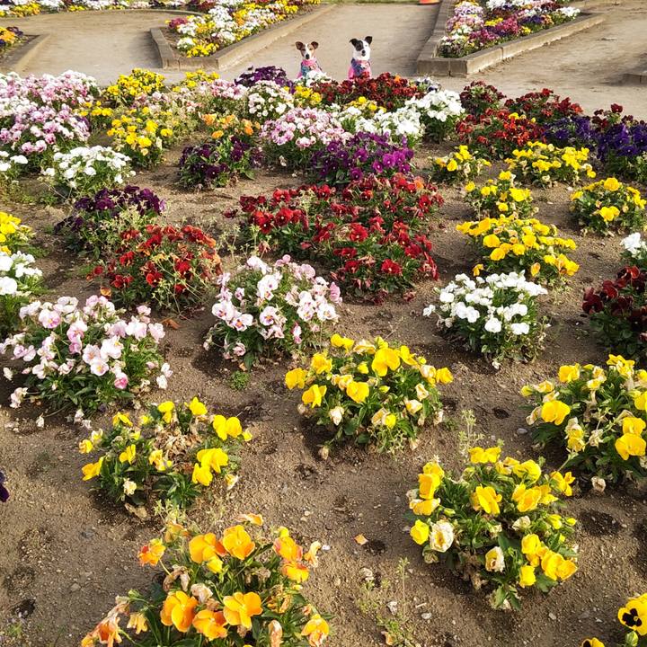 B1905341 8897 4d76 b5d6 1d6efe410514 1745067443780