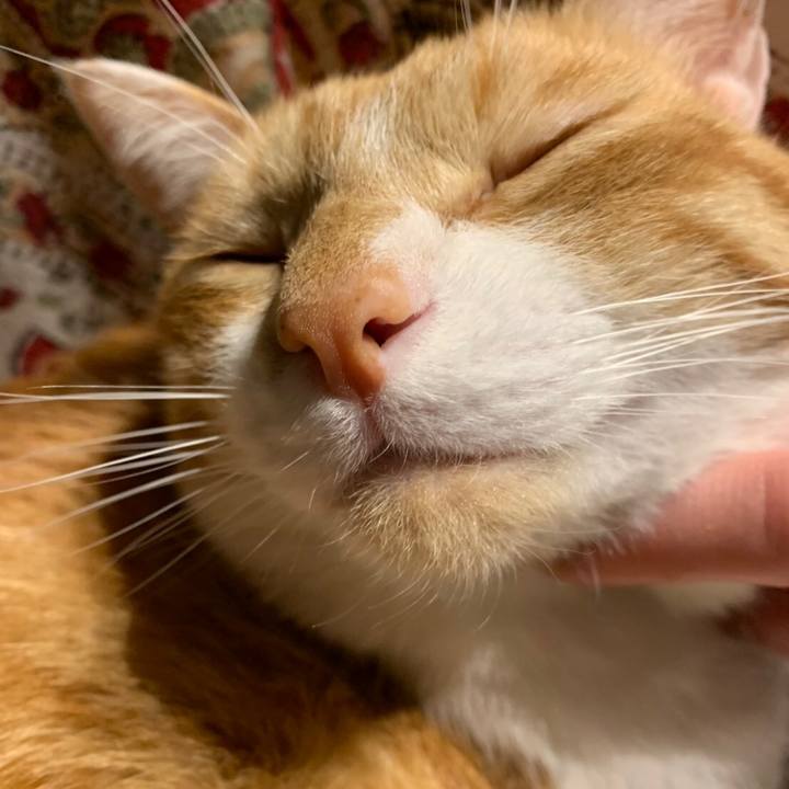 B19085af a1aa 4421 a12a ae93c3243676 1553865091788