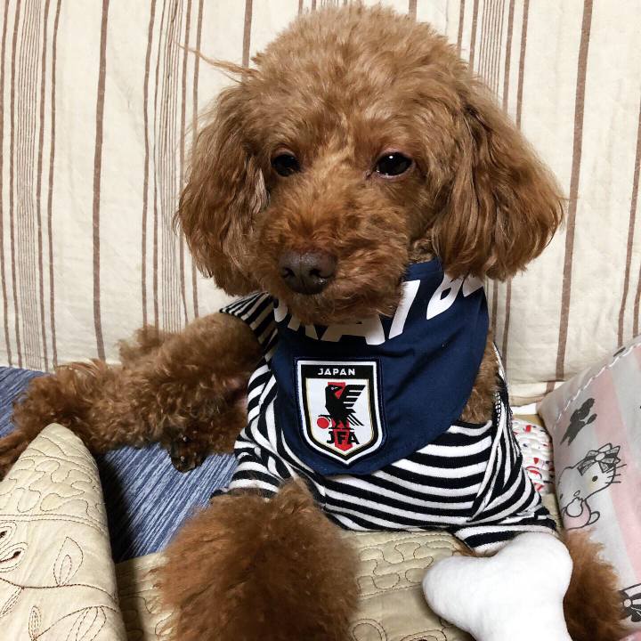 B190aebd 925b 4eca a7d4 dd7ee8efe8c4 1570708137351