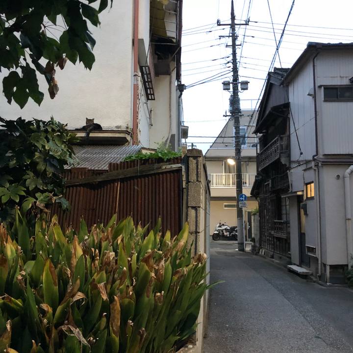 B190b21b b409 4aac b4a0 dc53f524276e 1536240020135