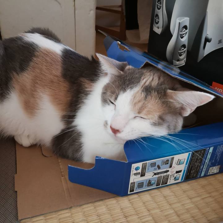 B190cb4b 276e 4c8b 84a3 f5938a371852 1565769452818