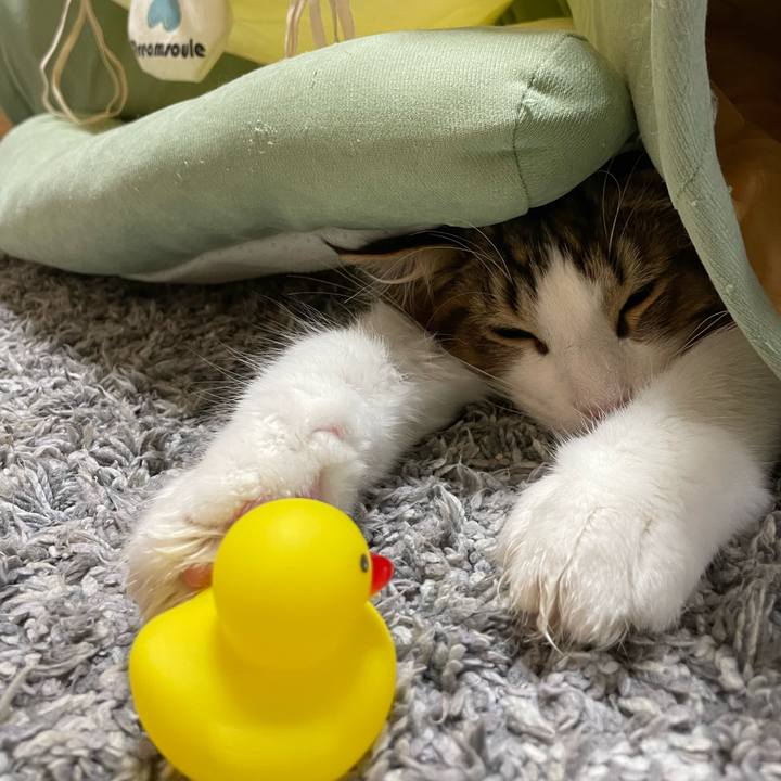 B190db7e e37b 42c7 a4c5 bda757f2ec07 1640209990435