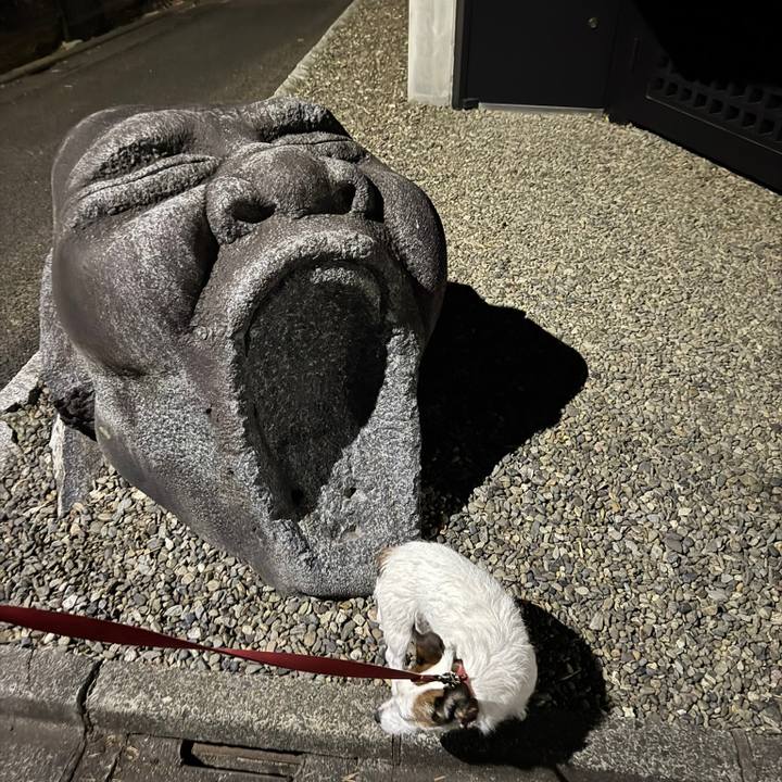 B190e38b 2425 4aa1 a8ce 5d38e805971a 1767706530723