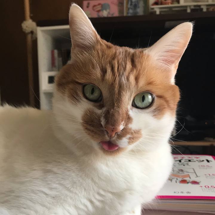 B19150d5 2606 4bb7 b8d1 8b48c5dba1df 1581209585307