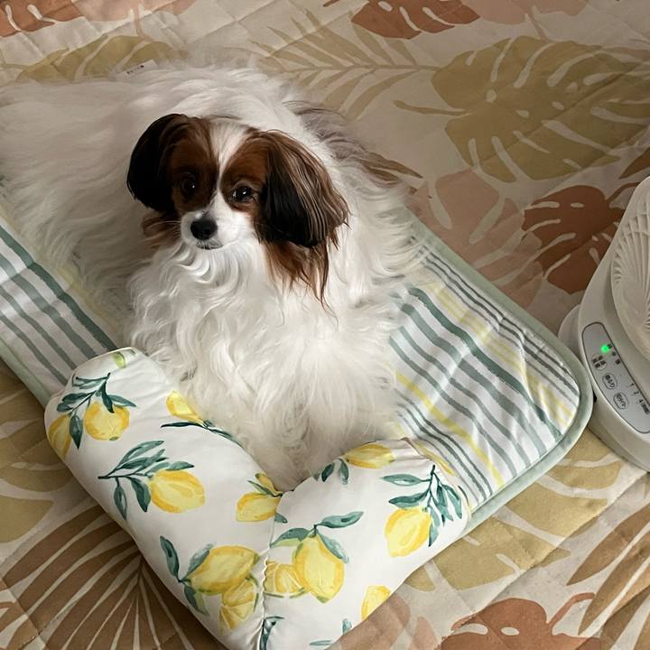 B1918191 ec08 481f b6f4 eed95a3e037a 1751333831305