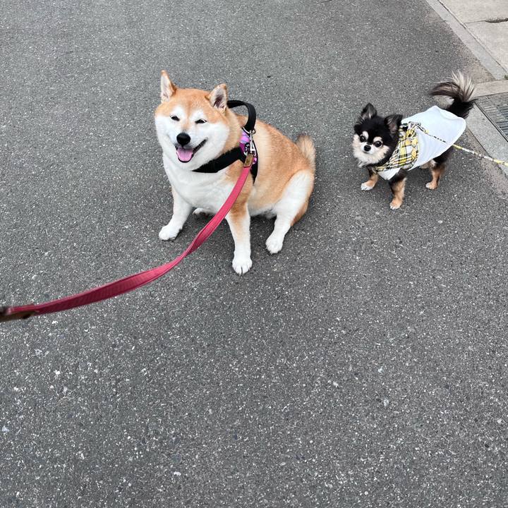 B1919390 a092 44c6 a464 286018a5f371 1681469567911