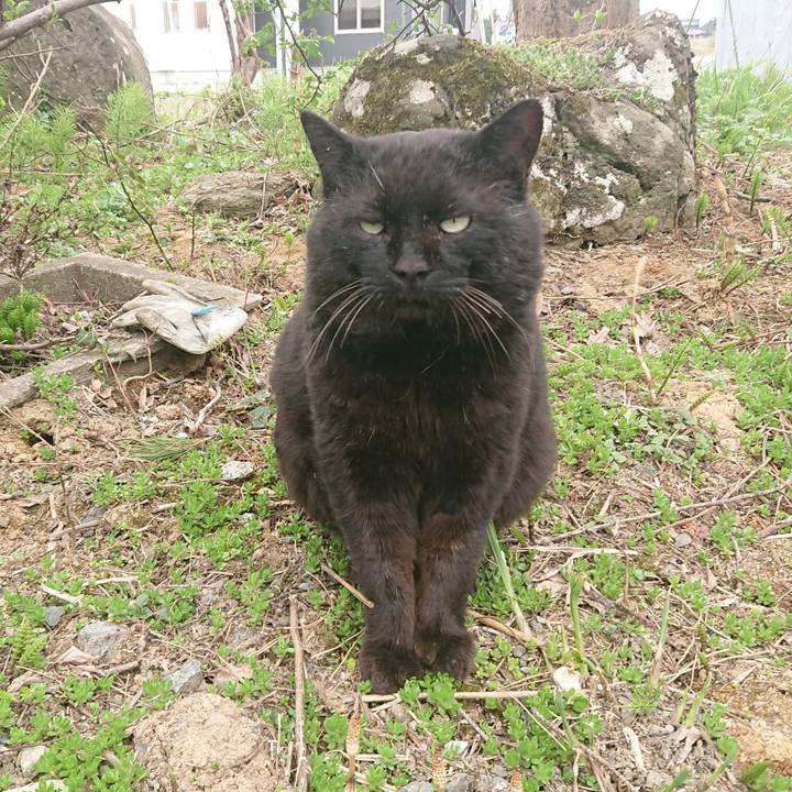 B19199d7 1cbe 4d16 9986 5ea60cf0e0a8 1650805084702