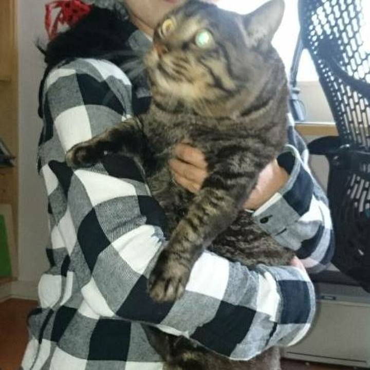 B191a306 a1d9 4617 afde 268051a683e3 1553664262102