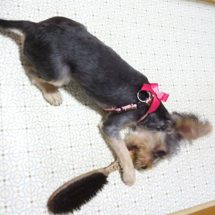 B191c166 2059 4b91 b04e 5283e8e81719 1534942078072