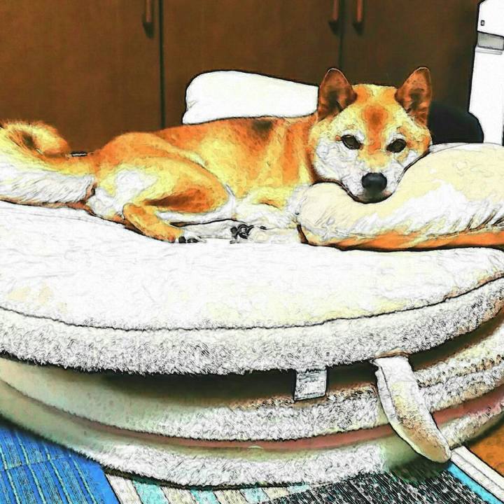 B191c3ea a0be 4b9e 88e9 95083fff5495 1562833544820