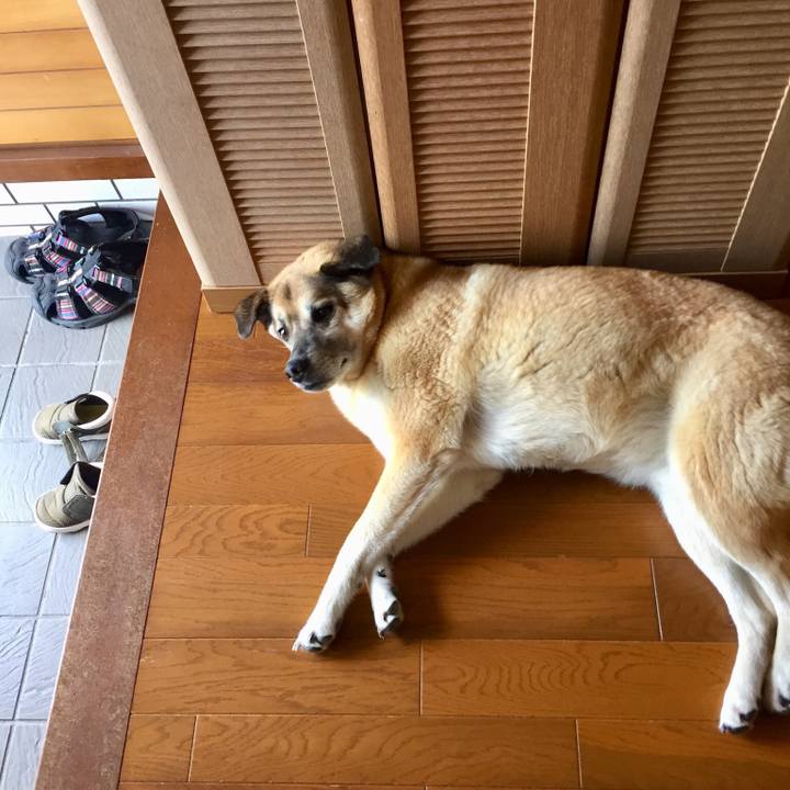 B191c50c 21bb 4010 8723 8b1411fdadff 1528518171108