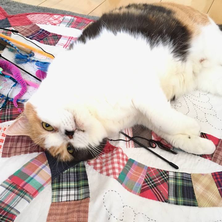 B191fee2 15ac 4651 a304 dc7401ba084c 1525149527677