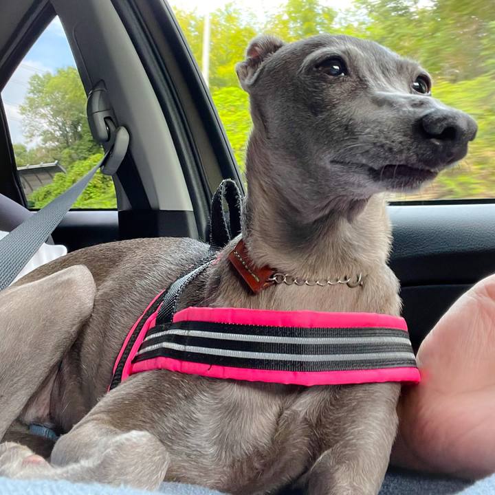 B1920cff 1759 46e8 95f4 6f9c468bd486 1758014470444