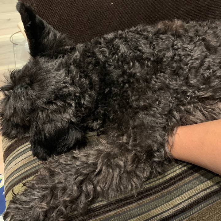 B1923b38 f94b 4475 8d69 5759ed1fa5cd 1600951035187