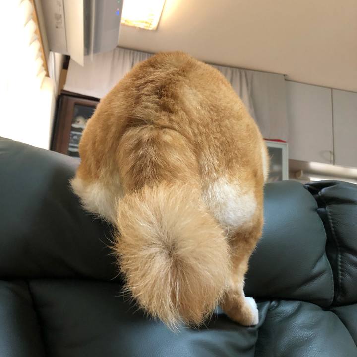 B1923cca fbb3 46ce b1b9 a758d0c9ae0d 1584238669526