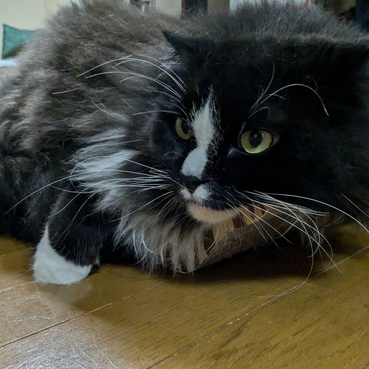 B19247bb 7039 458b b787 462fbd0f98ef 1725718316062