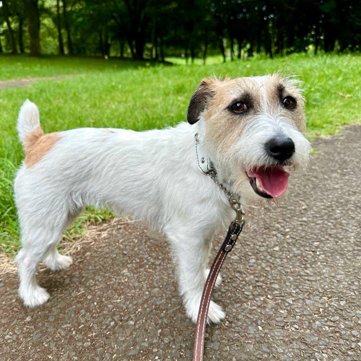 B1927143 604e 4a14 b2a8 b60f2471d296 1720662809235