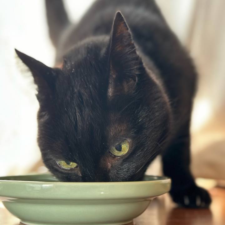 B19279a6 58f7 4cbb b661 a7e1ef2ba33a 1700529079364