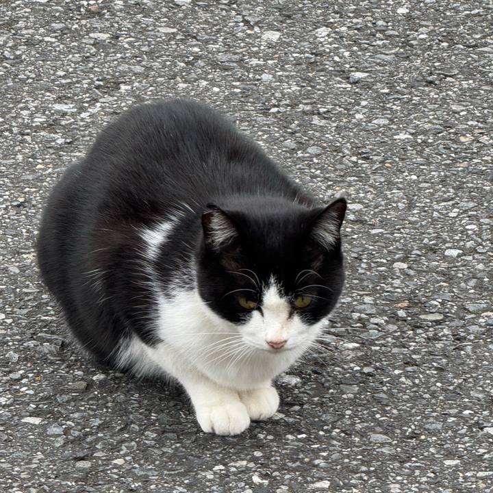 B1928336 5dd9 4361 b4c4 27fbbff54352 1761013688016