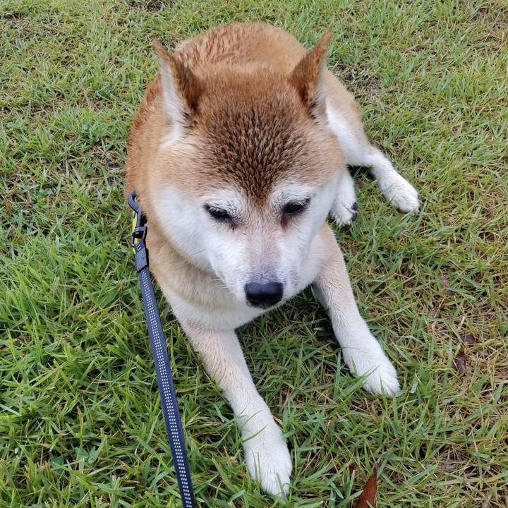 B1928f04 9e65 4104 836e e754d2bac5ae 1599724534235